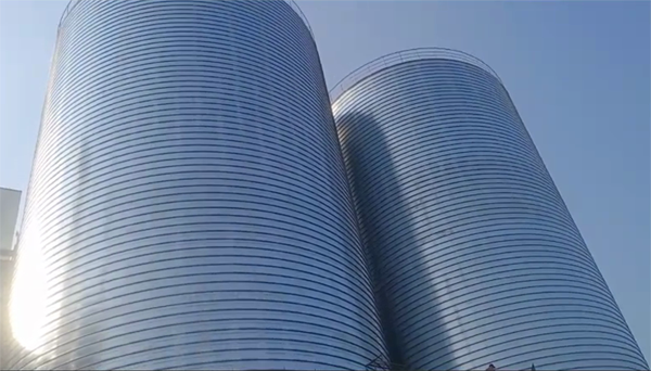 肇庆2座混凝土高架卷板仓